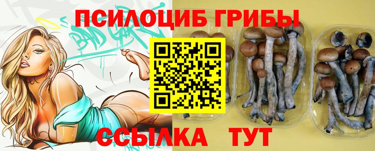 Белогорск  Псилоцибиновые грибы ЛСД  Псилоцибиновые грибы Magic Shrooms  Вход с VPN 